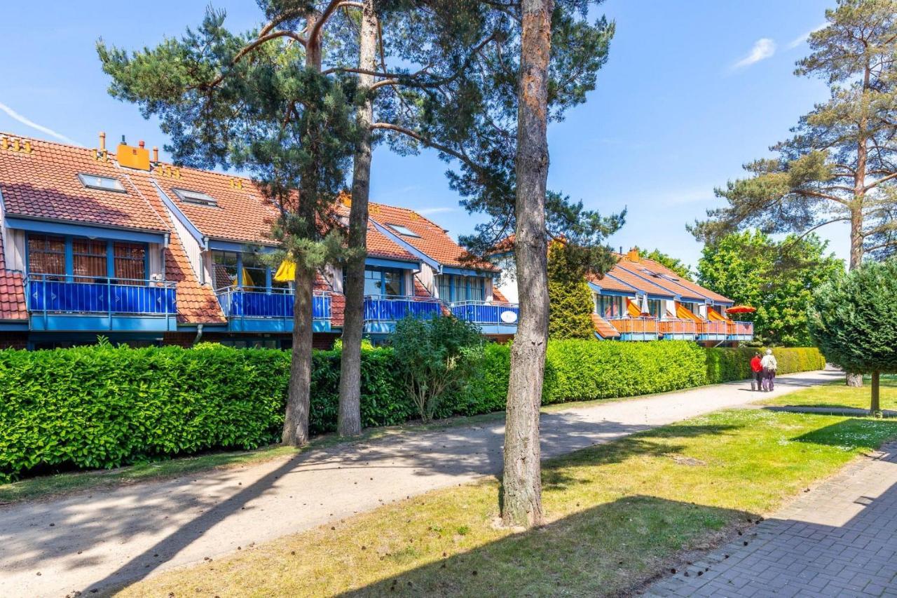 Papillon 9-5 Wohnung "Ostseefeeling" Boltenhagen Kültér fotó